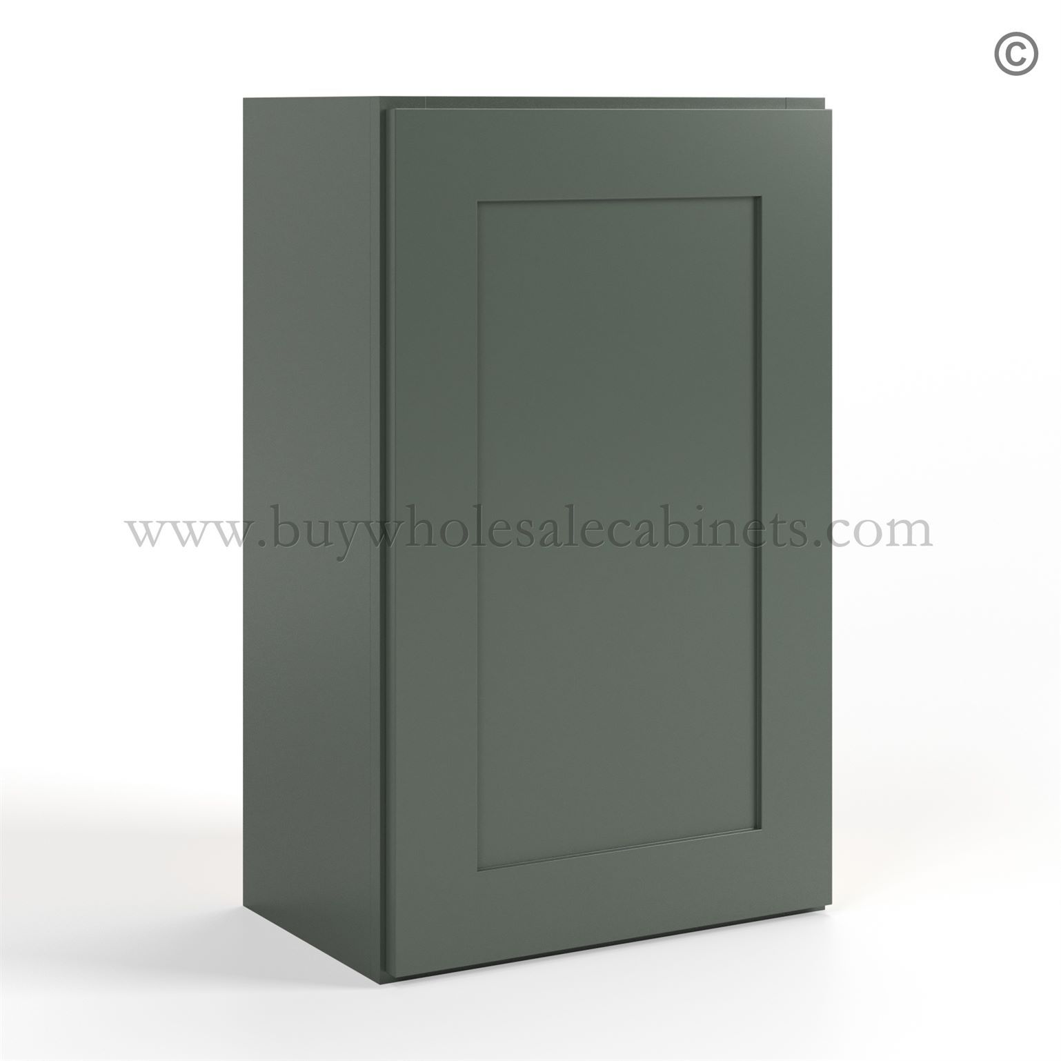 Green Shaker 30 H Single Door Wall Cabinet